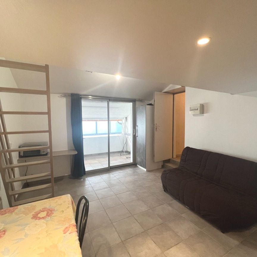 Location Appartement 1 pièce 18m² ROMANS SUR ISERE 26100 - Photo 1