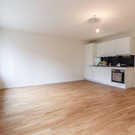 Kernsaniertes Studio am Musical Theater - Photo 1