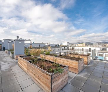 Ruhelage: 2-Zimmer Wohnung mit großem Balkon - Foto 1