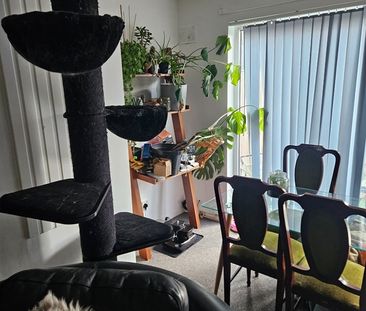 Room in a Shared House, Windsor Street, NG9 - Photo 6