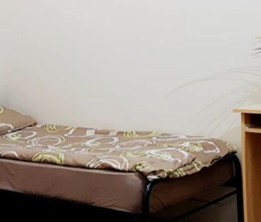 Single rooms - Photo 2