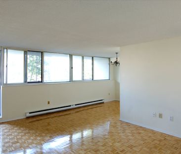 The Laurentian - Photo 2