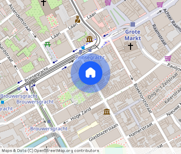 Te huur: Appartement Lange Beestenmarkt 13 A in Den Haag - Foto 1