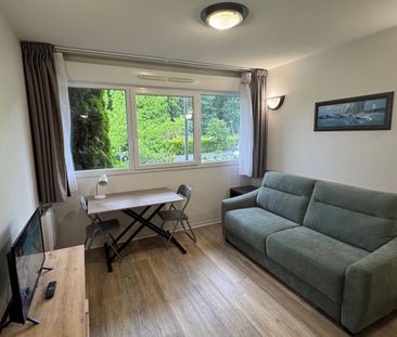 Location Appartement 1 pièce 19m² - Photo 1