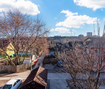 For Lease - 184 Maplewood Avenue, Hamilton, Ontario - Photo 6