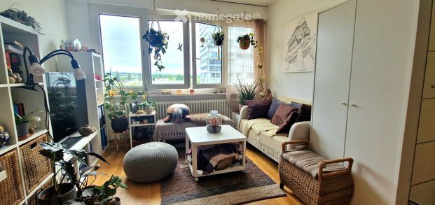 2 Zimmer, 27 m² - Foto 1