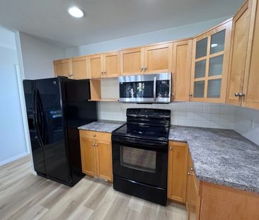 Lower Mission: 3 bed, 2.5 bath House - Photo 3