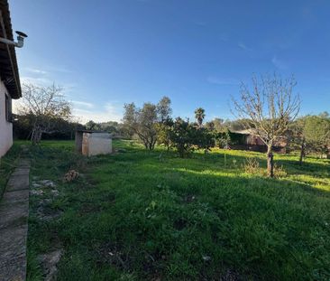 4 room luxury House for rent in Santa Eugènia, Balearic Islands - Photo 6