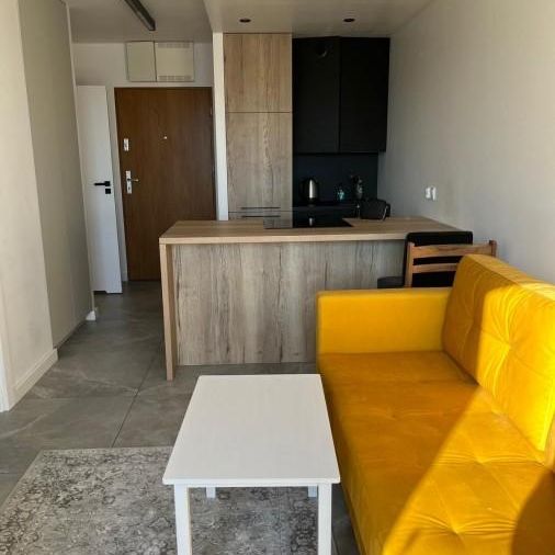 MIESZKANIE na WYNAJEM - Photo 1