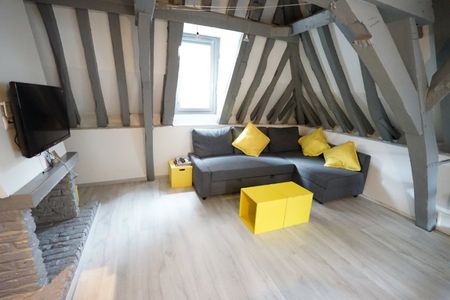 Appartement 2 pièces à Lille - Photo 2