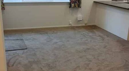 Recently renovated 2BR Flat in Tawa, Wellington - Photo 3