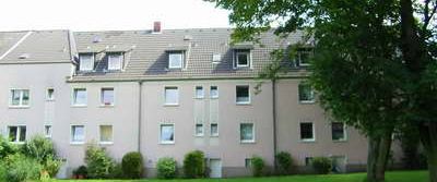 Weihnachtsfest im neuen Nest? - Foto 1