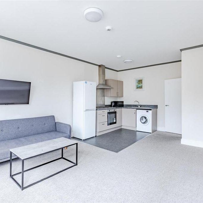 3 bedroom apartment to rent - Photo 1