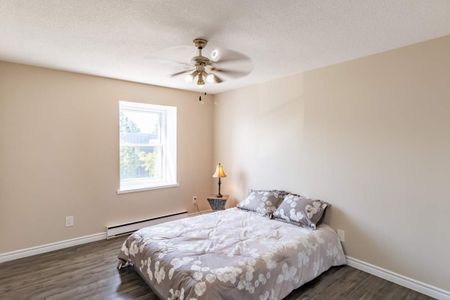 Lewis Court Apartments - ALL INCLUSIVE - Photo 3