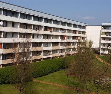 Drei Zimmer, Balkon, Keller - Photo 2