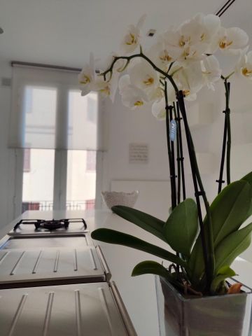 Ático de alquiler en Sant Jaume - Photo 5