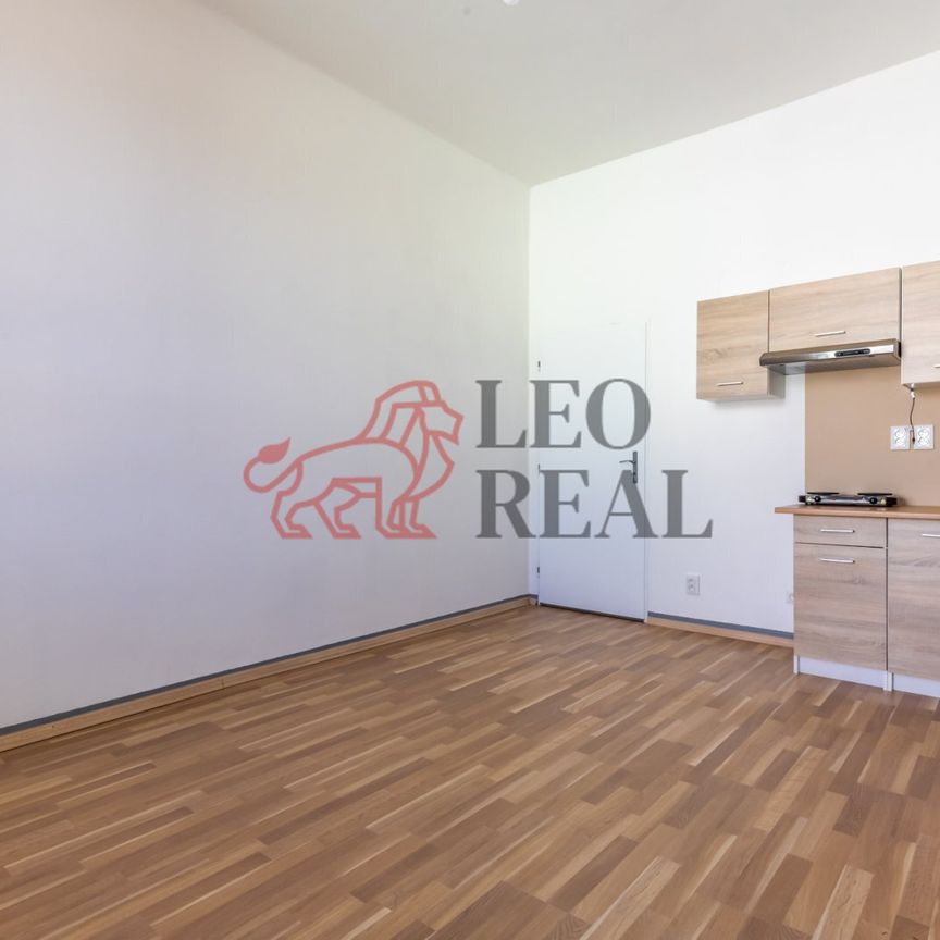 Pronájem bytu 1+kk a garsoniéry 28 m², Strašice - Photo 1