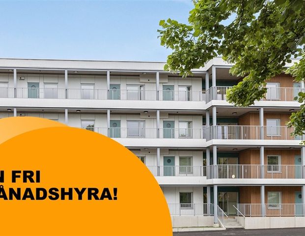 Lilla Trädgårdsgatan 7C - Photo 1