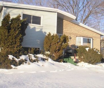 2080 Liska - Photo 1