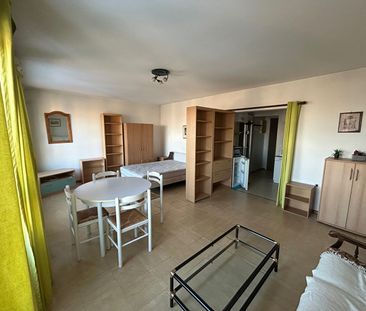 Location Appartement 1 pièce 37m² - Photo 2