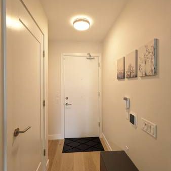 Fully Furnished New Condo in Convenient Quiet Neighborhood - Photo 4