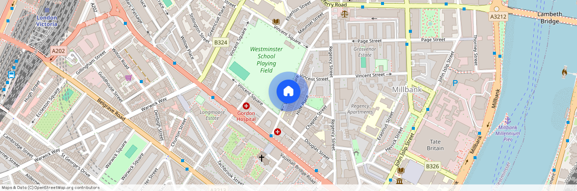 Vincent Square, Westminster, London, SW1P