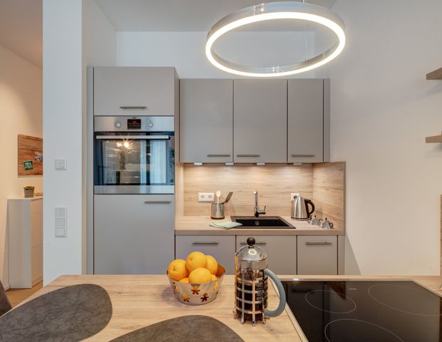 New construction 2021 - Top furnished rental with balcony - Photo 1