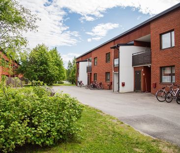 Ankarskatavägen 78 E, 94164, Piteå - Photo 2