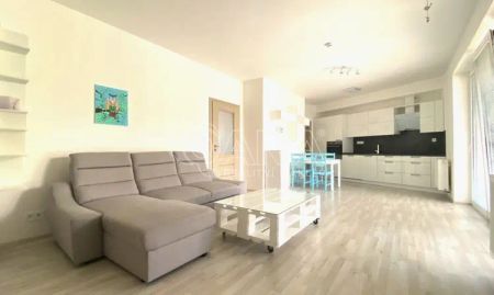 Pronájem prostorného zařízeného bytu 2+kk s parkovacím stáním a balkonem - Fotografie 3