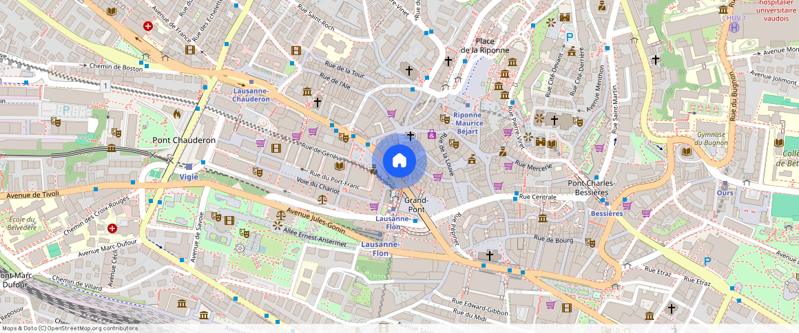 Rue du Grand - Pont **, 1003, Lausanne