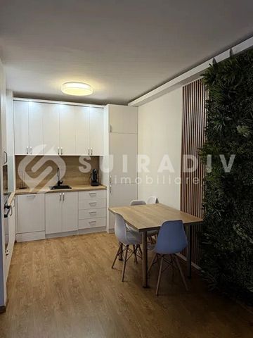 Apartament pet friendly, parcare subterana, bloc nou cu lift, terasa- Intre Lacuri - Photo 4