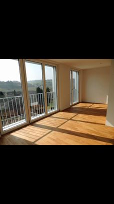 Modern 3.5-room duplex with parking space, Birmensdorf - Photo 1