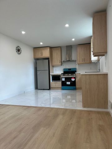 For Lease - 1526 Chickadee Trail Unit# Bsmt, London South, Ontario - Photo 4