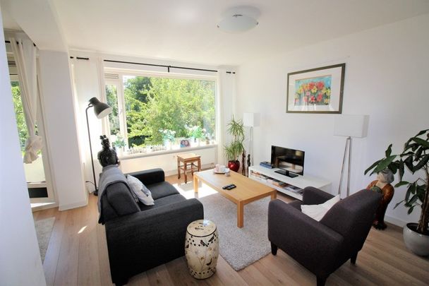 Te huur: Appartement De Lairesselaan in Rotterdam - Foto 1