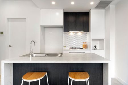 LUXURY APARTMENT WITH 2 CAR SPACES - Photo 4