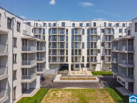 DER BALLON - Ankommen und abheben - NATURNAHES WOHNEN NAHE DER SEESTADT ASPERN - Photo 2