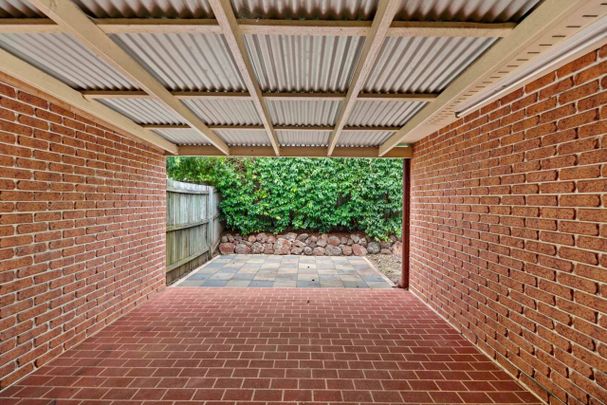 Walking distance to the University! - Photo 1