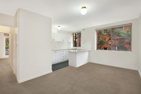 Charming One-Bedroom Ground Floor Apartment near Unsw - Photo 2