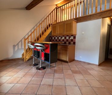 Location Appartement 1 pièce 25m² CHAMPAGNE AU MONT D OR 69410 - Photo 2