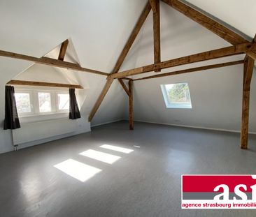 Spacieux 1 pièce type loft avec jardin - Photo 2
