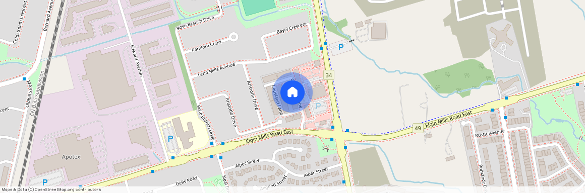 99 Causland Lane, Richmond Hill