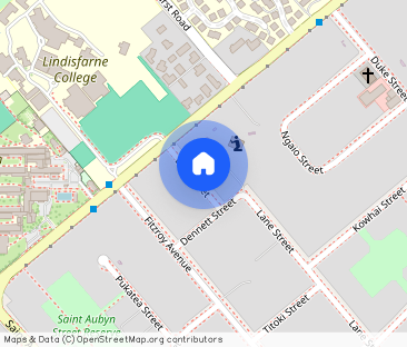 Ellis Street, Mahora - Photo 1