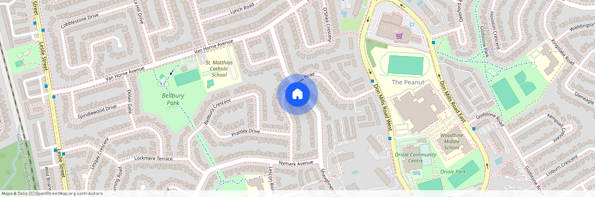 226 Shaughnessy(Lower) Boulevard, Toronto