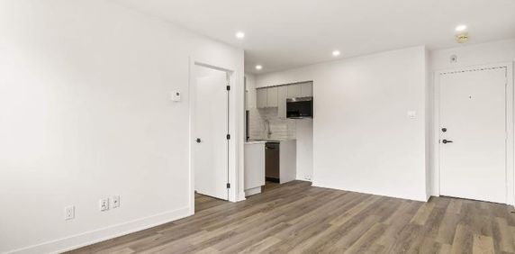 1 CH - 1 SDB - Montréal - $1,345 /mo - Photo 2