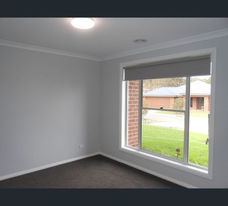 8 Idaho Court, Springdale Heights, NSW 2641 - Photo 4