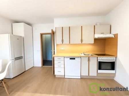 Pronájem bytu 2+kk s velkým balkonem - Photo 4