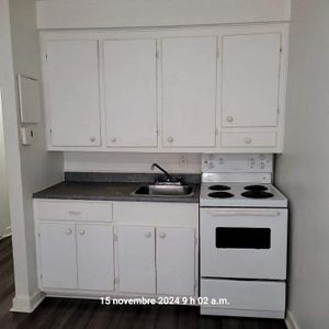 1 CH - 1 SDB - Montréal - $1,095 /mo - Photo 3