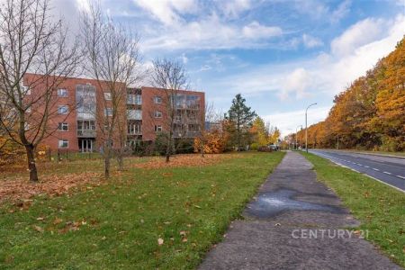 Pronájem bytu 2+kk s garážovým stáním, Praha – Háje - Photo 4