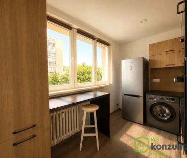 Krásná a moderní 3+1 se 2 lodžiemi u Komenského sadů – Slezská Ostrava - Fotografie 5
