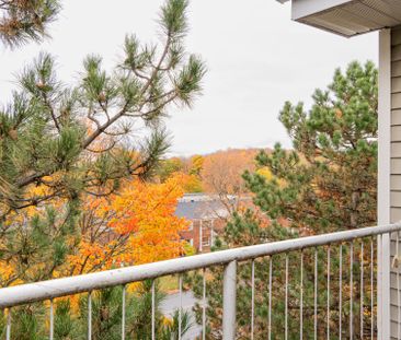 For Lease - 270 Brittany Drive Unit# 406, Manor Park - Cardinal Gle... - Photo 3